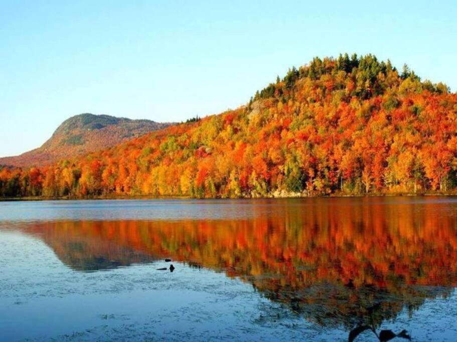 *Nouveaute* Foyer Au Bois, Plage, Montagne Et + Magog Kültér fotó